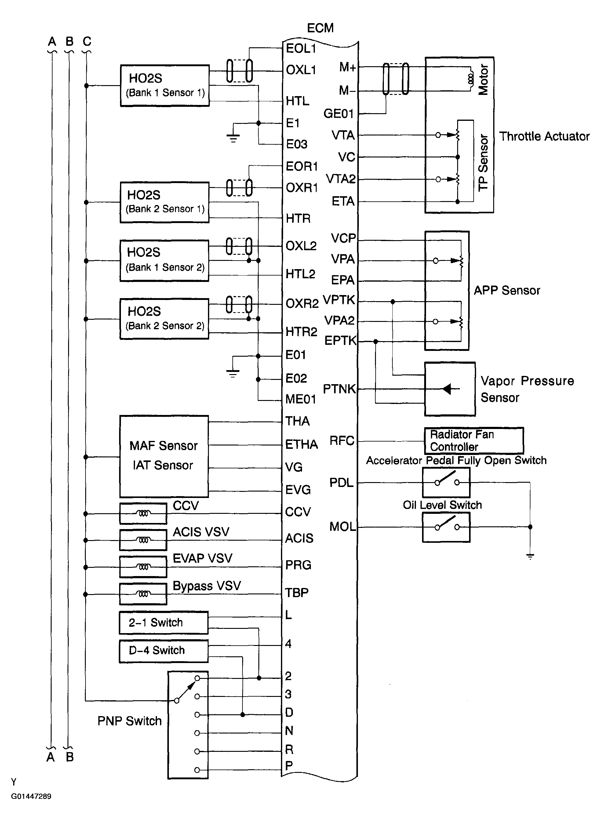 G01447289
