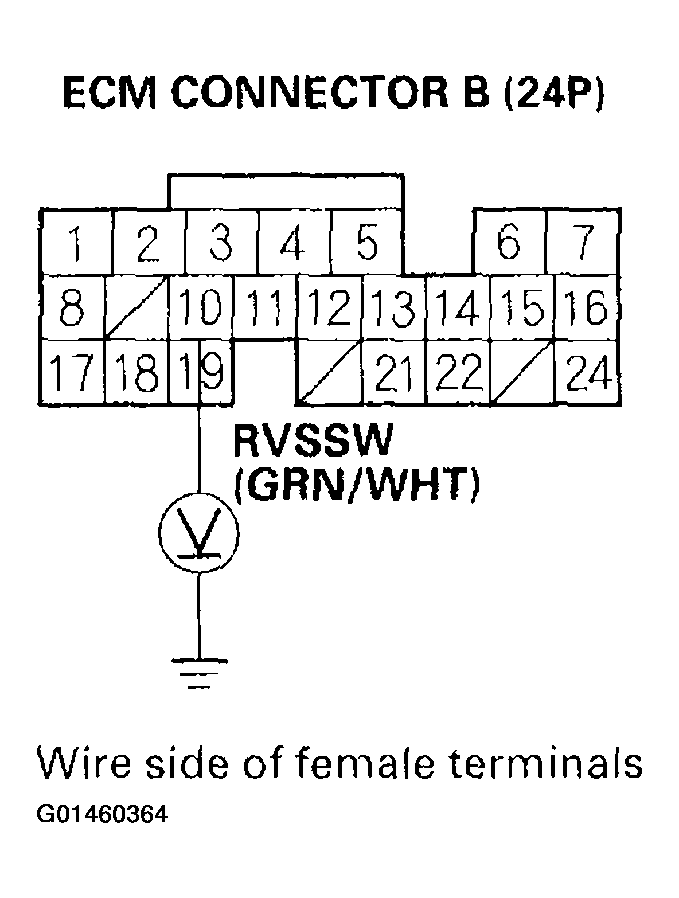 G01460364