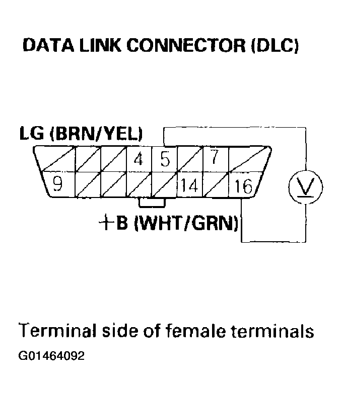G01464092
