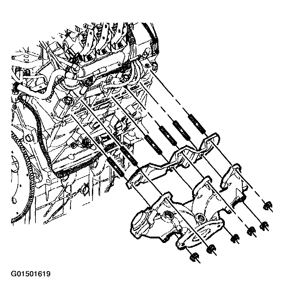 G01501619
