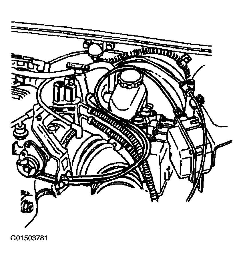 G01503781