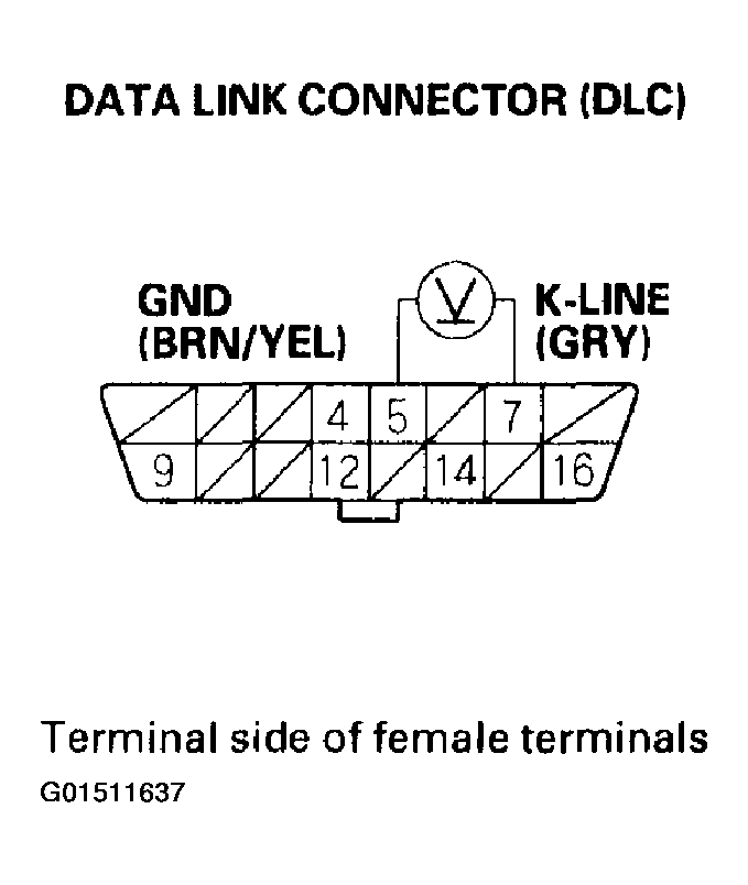 G01511637