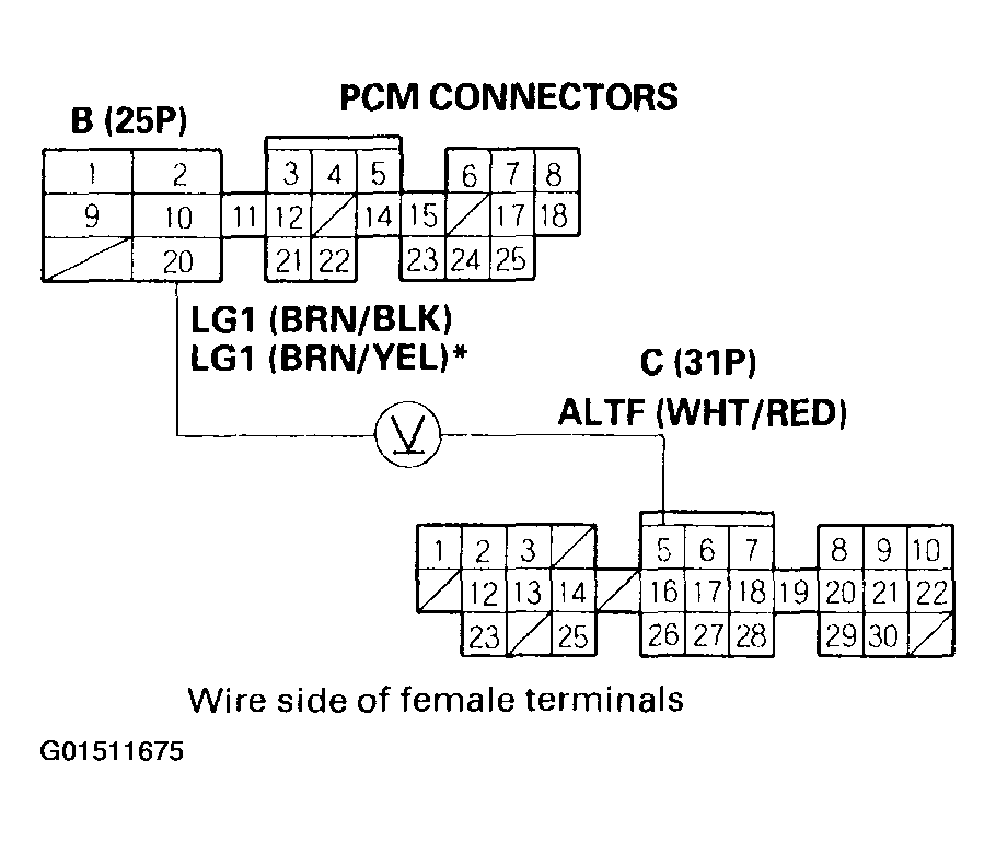 G01511675