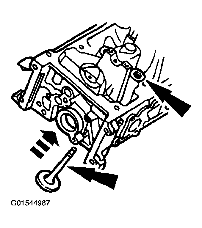 G01544987