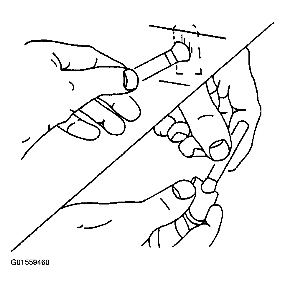 G01559460