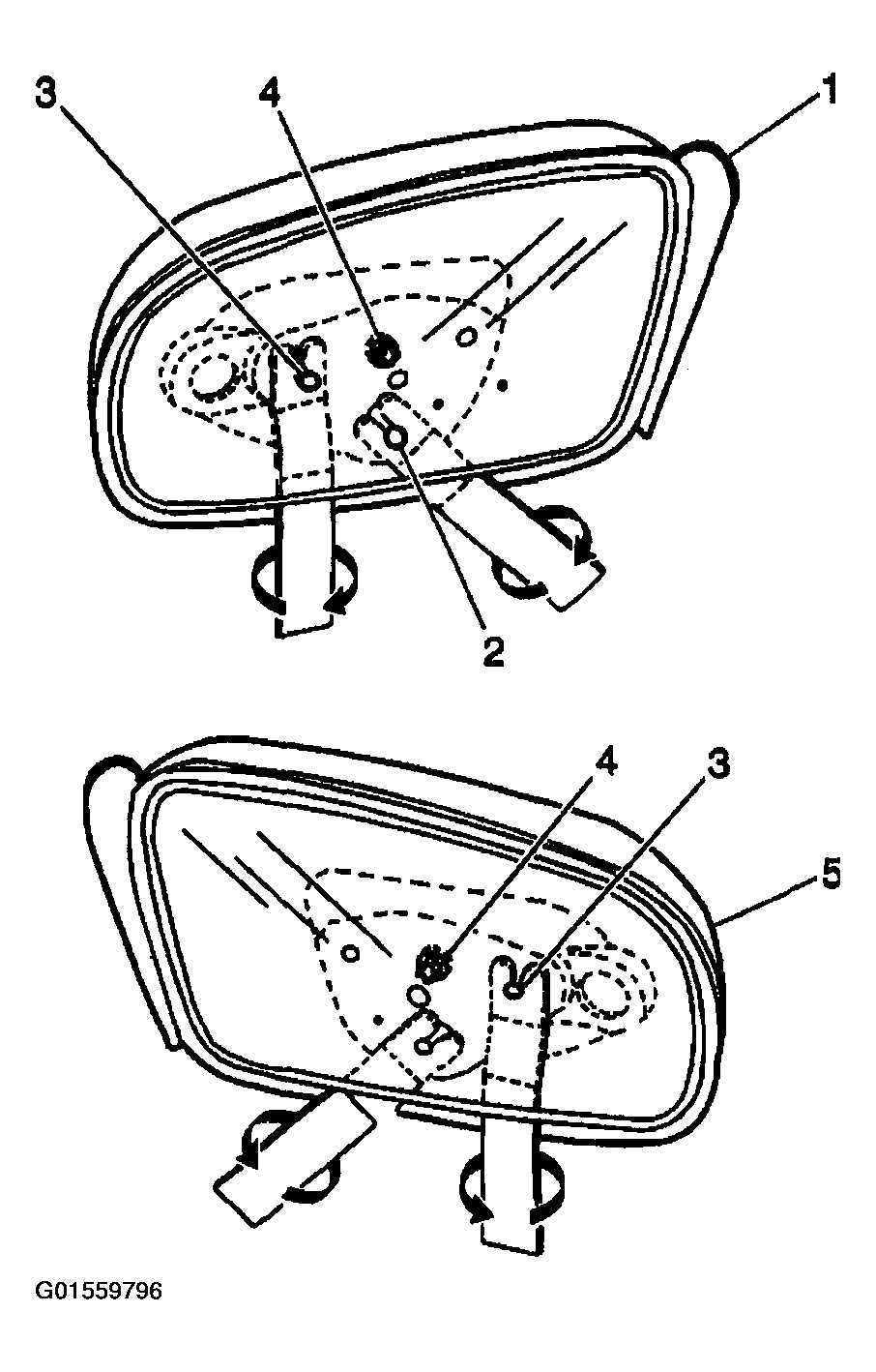G01559796