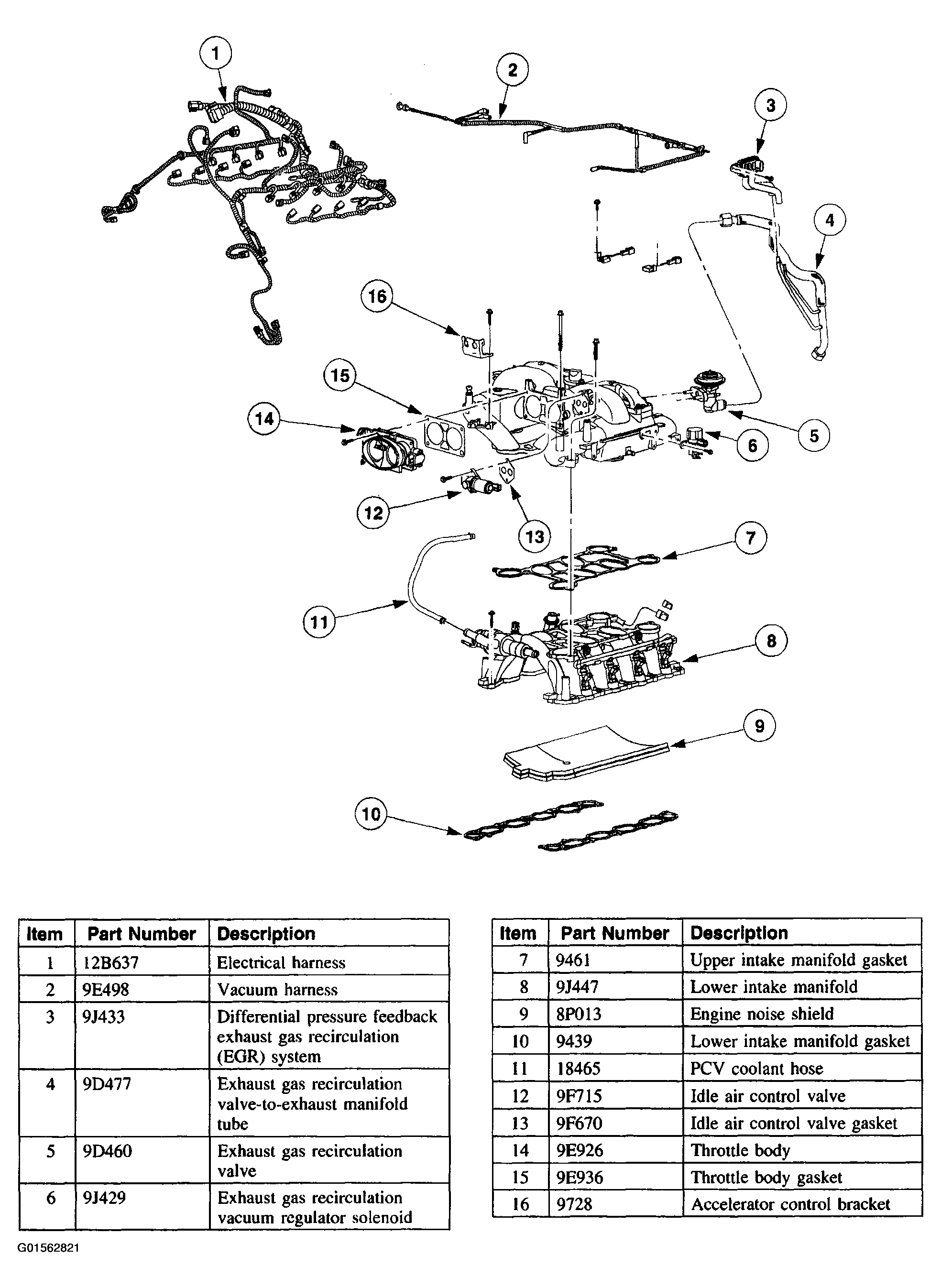 G01562821