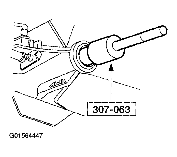 G01564447