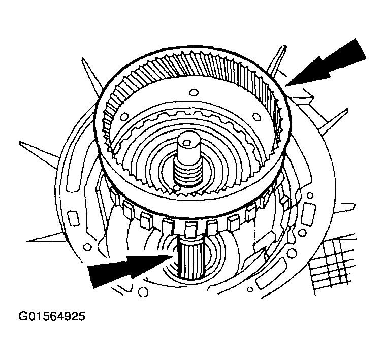G01564925