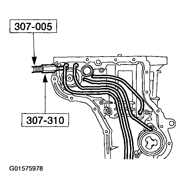 G01575978