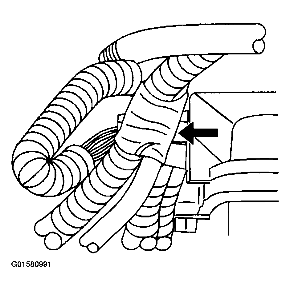 G01580991