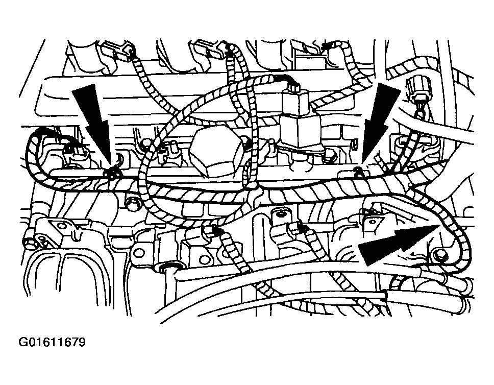 G01611679