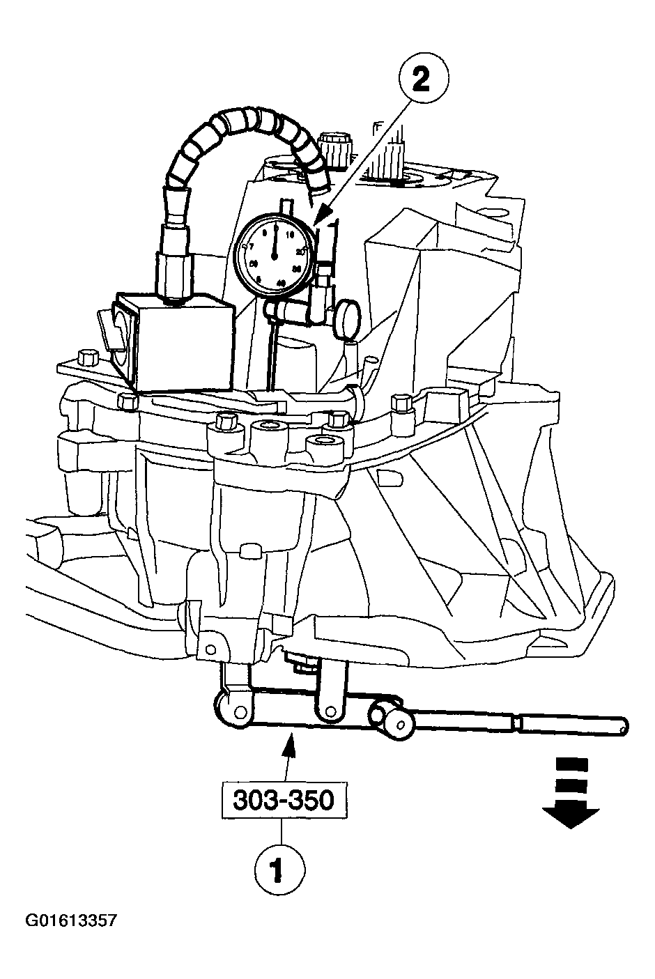G01613357