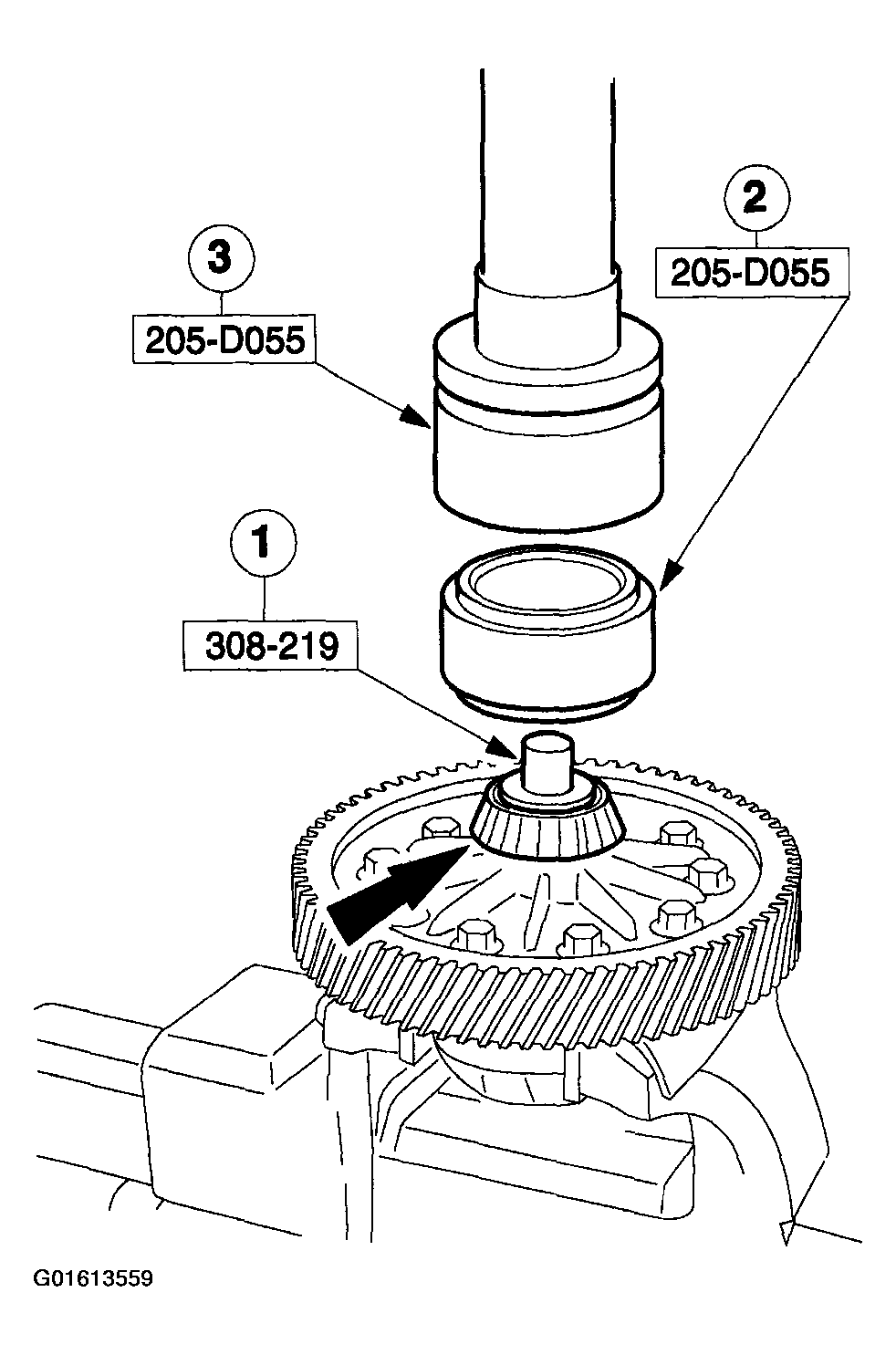 G01613559