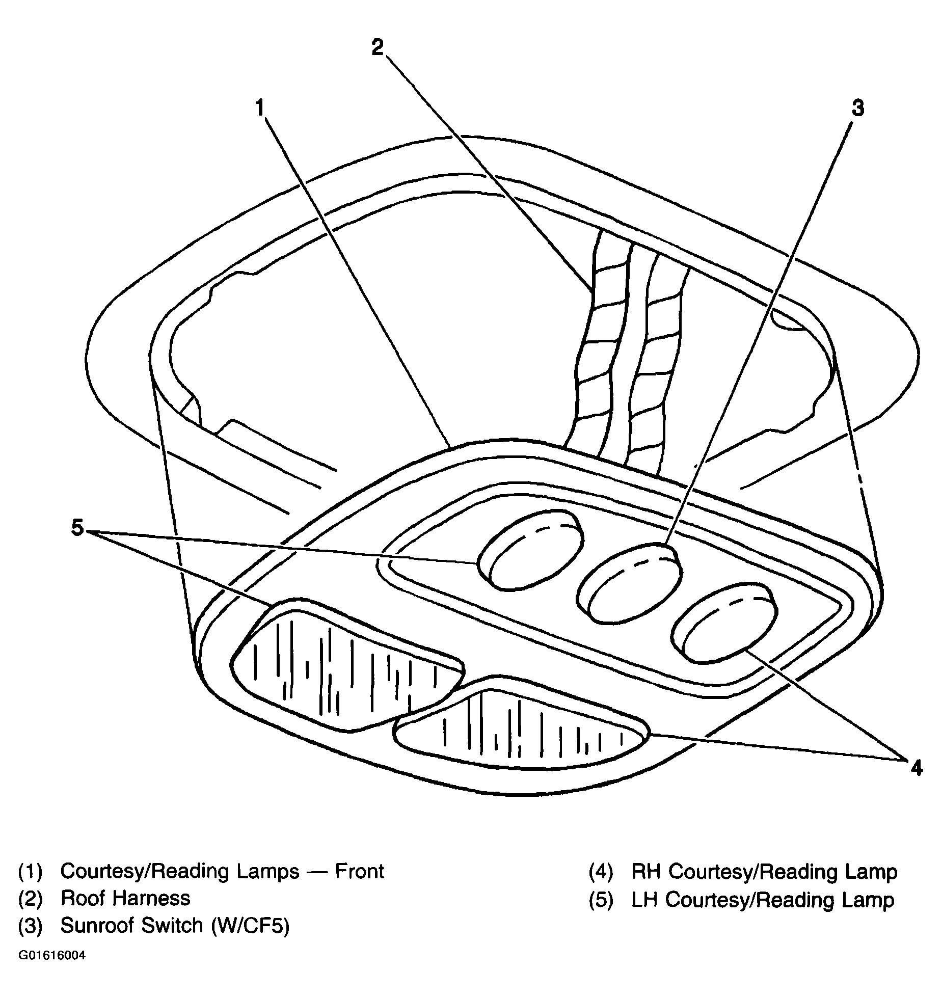 G01616004