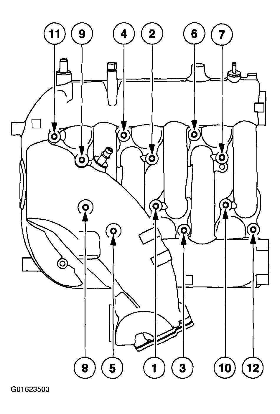 G01623503