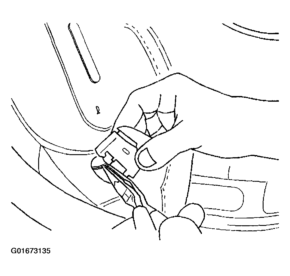 G01673135