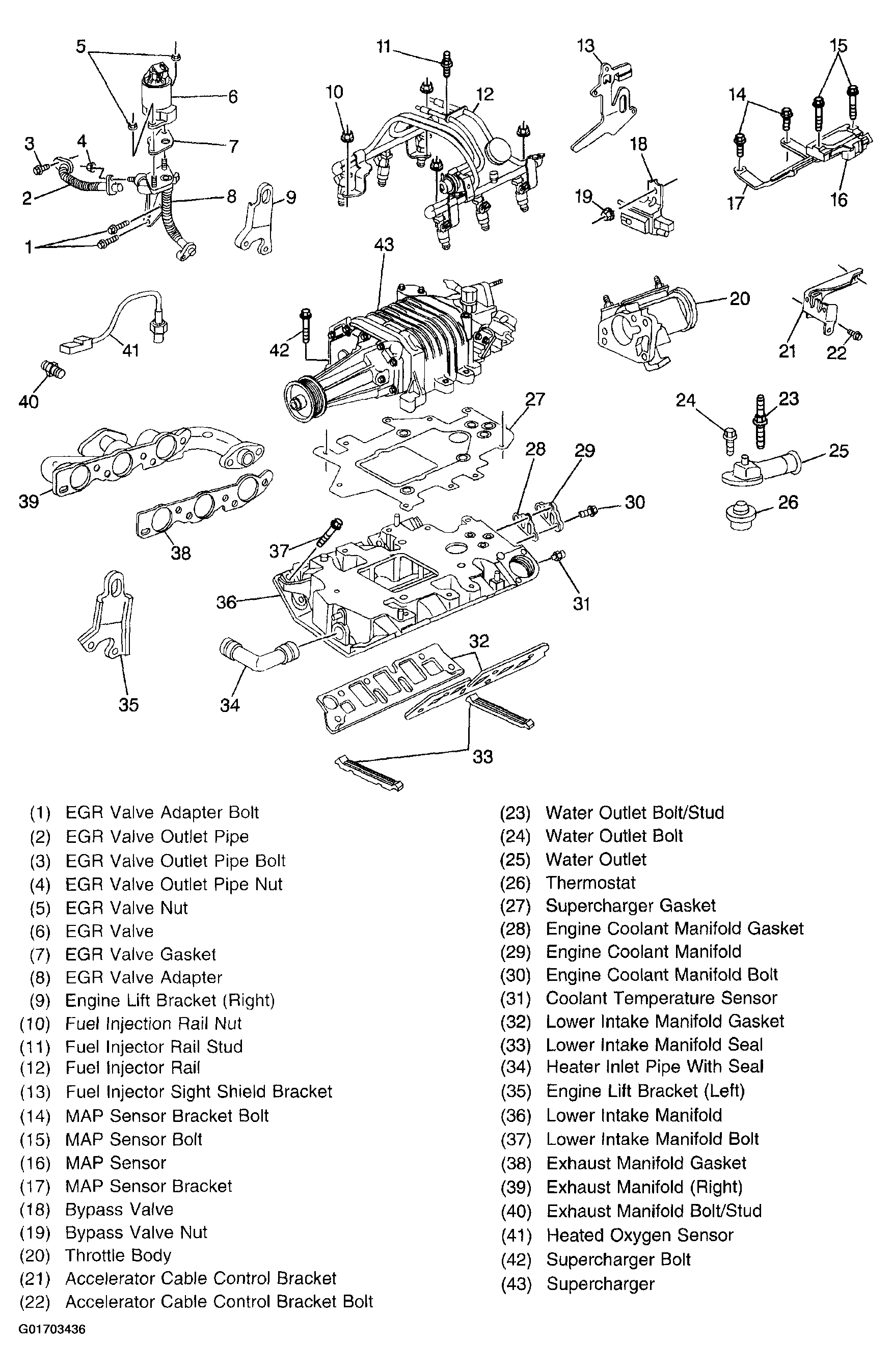 G01703436