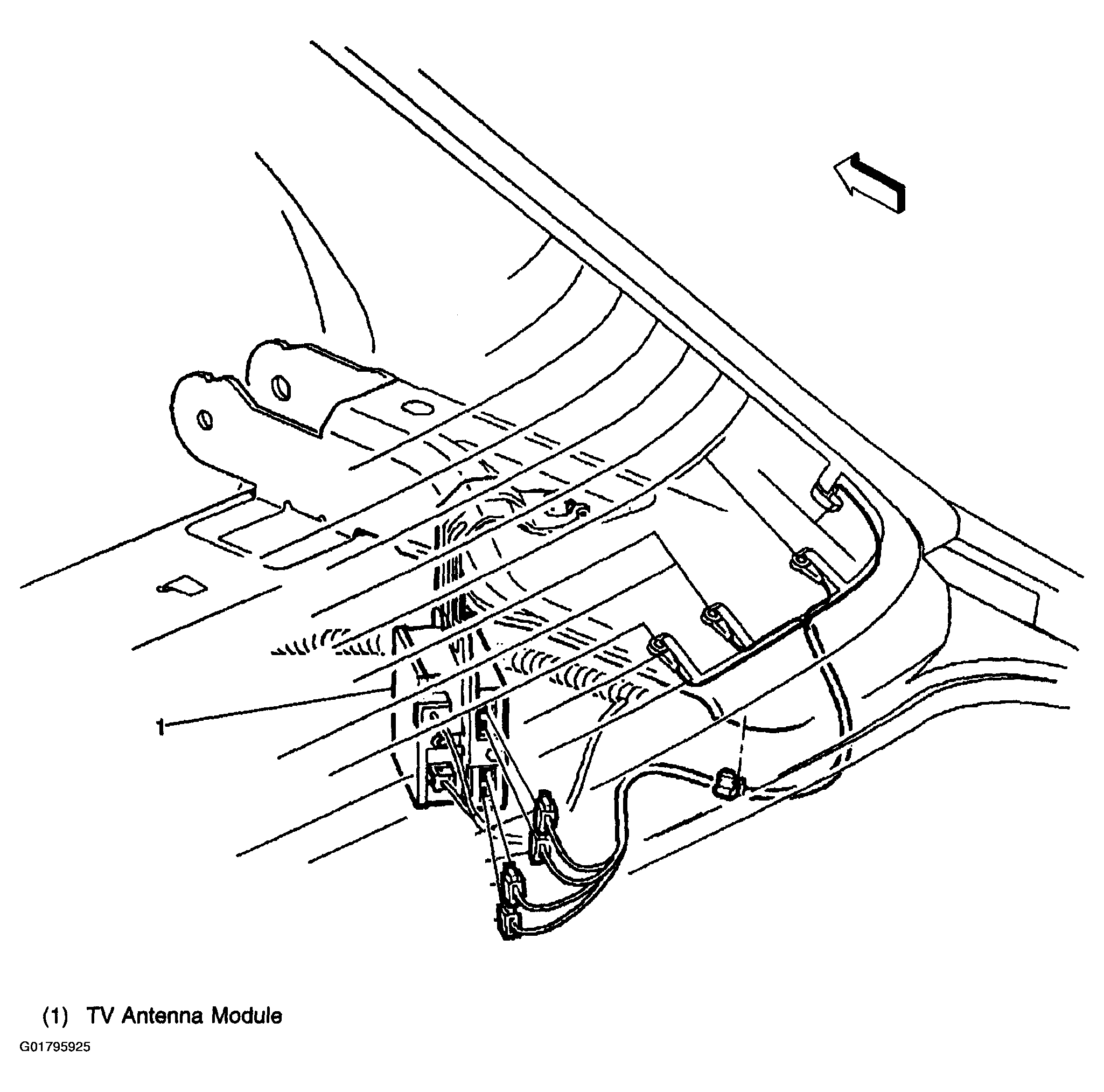 G01795925