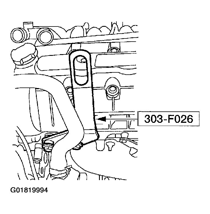 G01819994