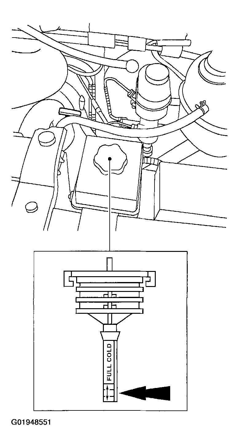 G01948551
