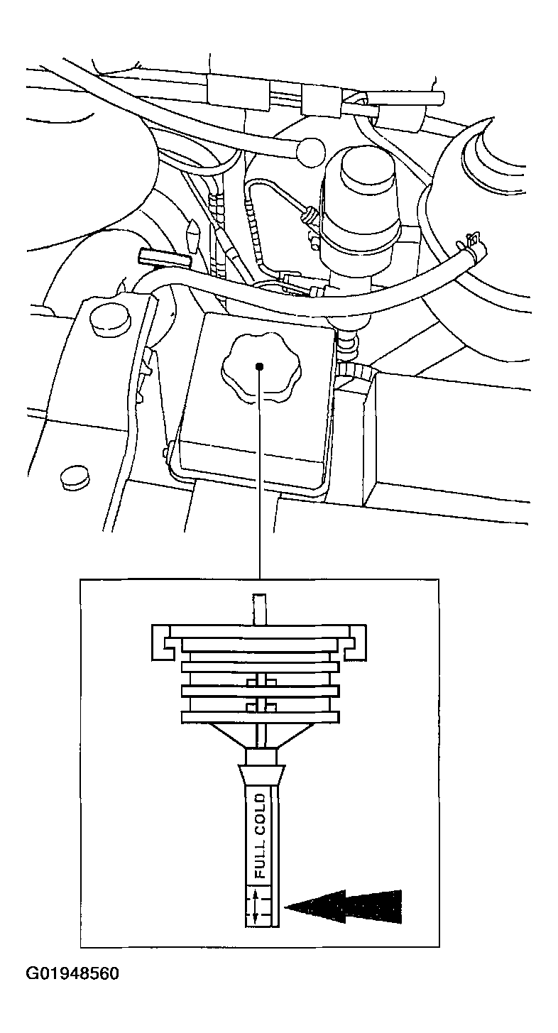 G01948560