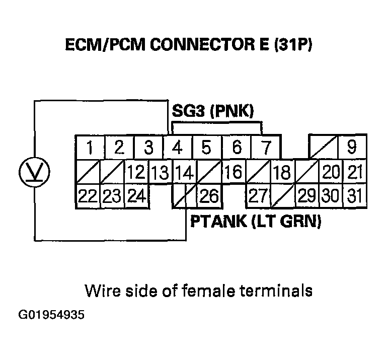 G01954935