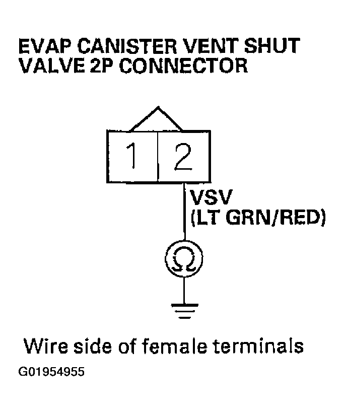 G01954955