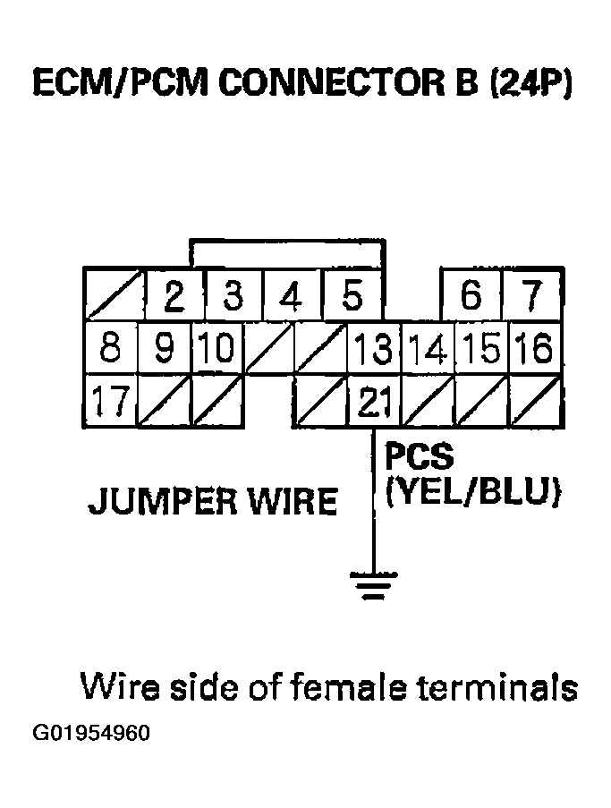 G01954960