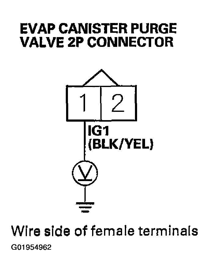 G01954962