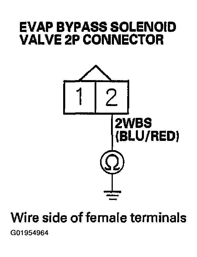G01954964