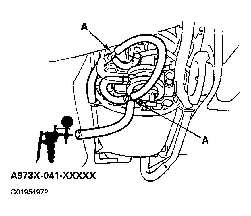 G01954972