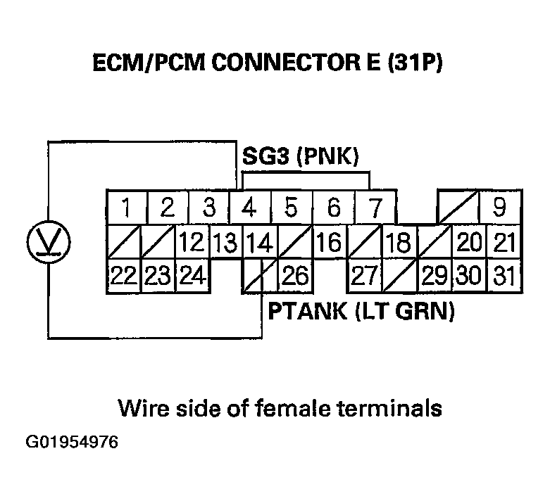 G01954976