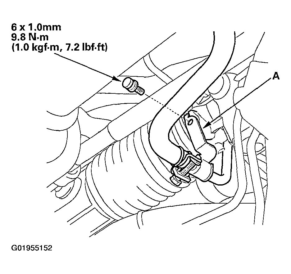 G01955152