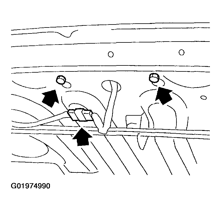 G01974990