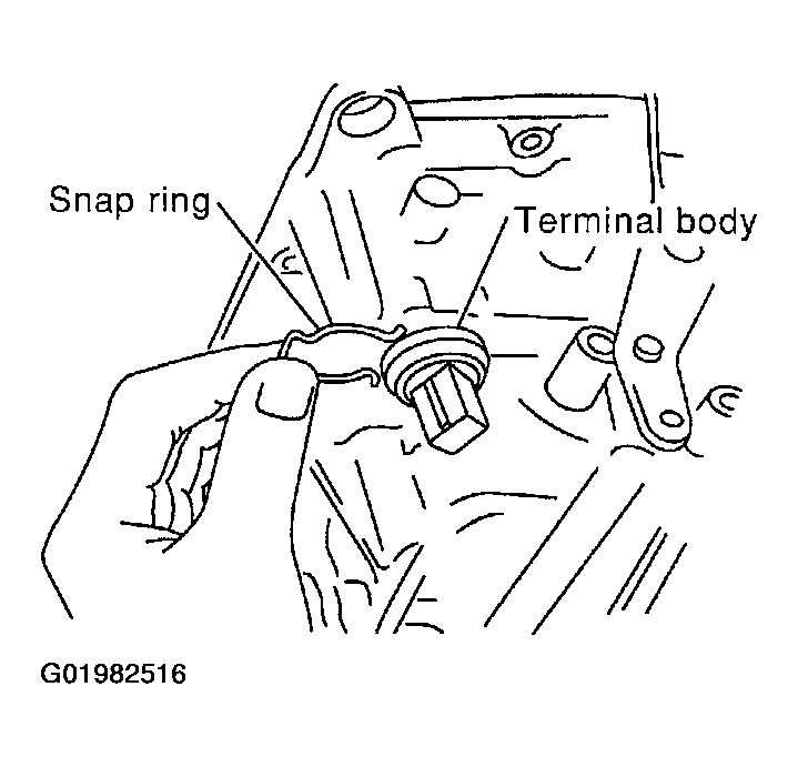 G01982516
