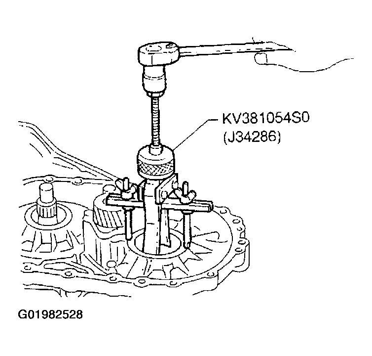 G01982528