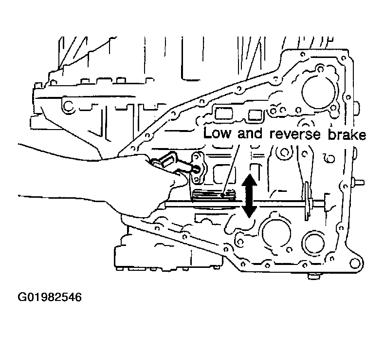 G01982546
