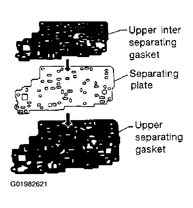 G01982621