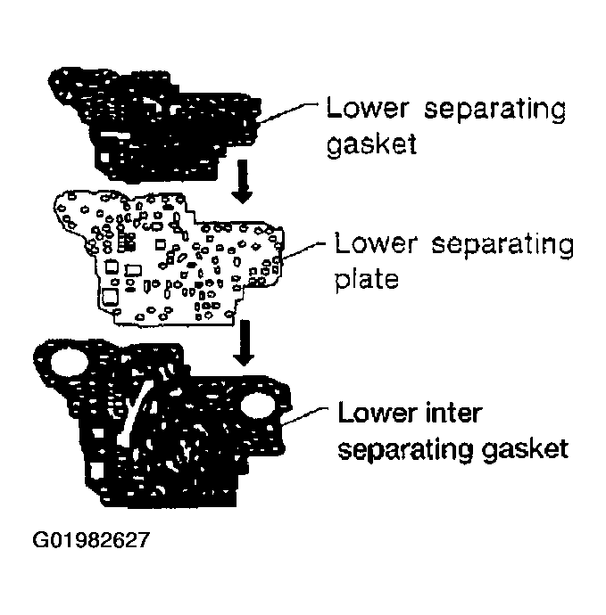 G01982627