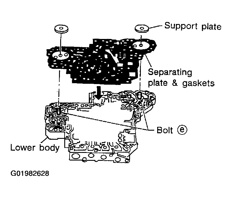 G01982628
