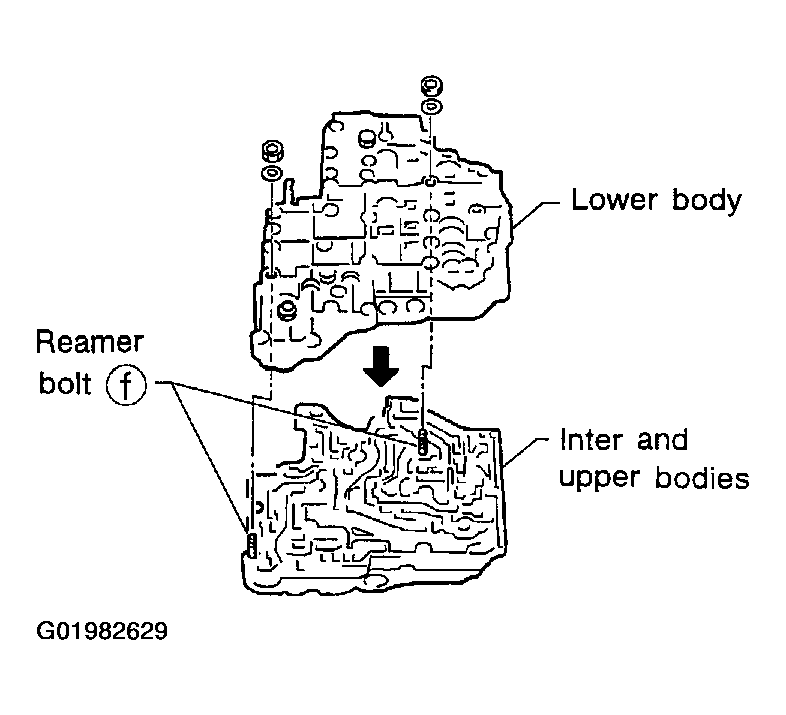 G01982629
