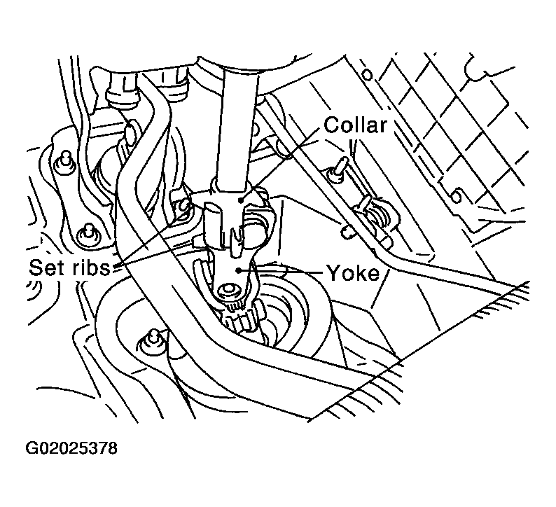 G02025378