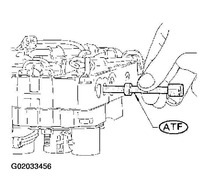 G02033456
