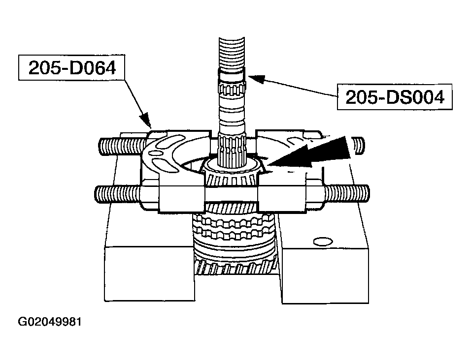 G02049981