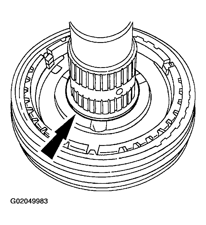 G02049983
