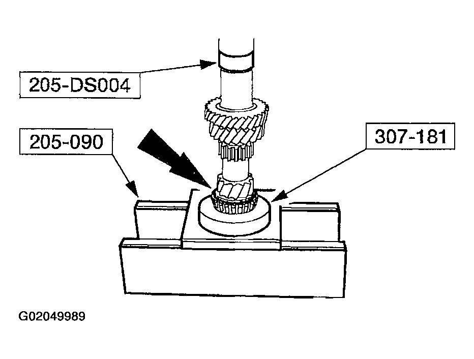 G02049989