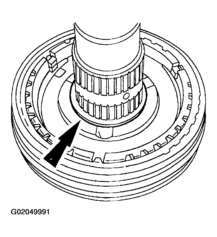 G02049991