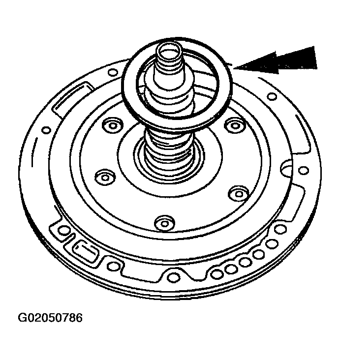 G02050786