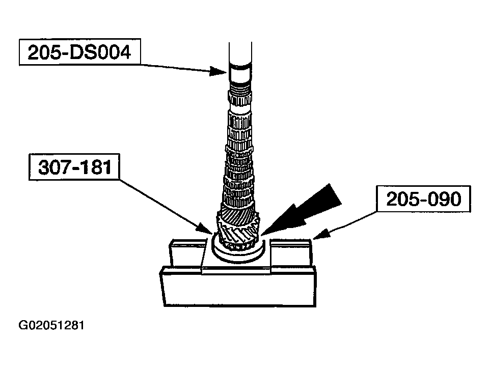 G02051281